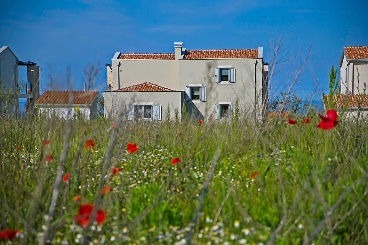 Villa Flamingo Kaštelir Εξωτερικό φωτογραφία